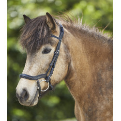 Filet Waldhausen Island anatomique Noir / argent