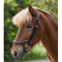 Filet Waldhausen Island anatomique Noir / argent