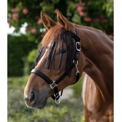 Frontal chasse-mouche Waldhausen Salon Frontal chasse-mouche Waldhausen Salon