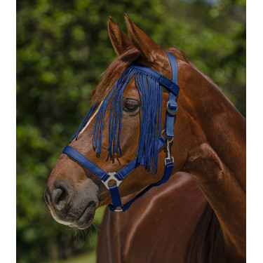 Frontal chasse-mouche Waldhausen Salon Bleu Frontal chasse-mouche Waldhausen Salon Bleu