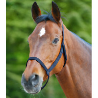 Licol de pâturage Waldhausen Bleu nocturne