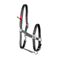 Licol de sécurité Waldhausen Noir