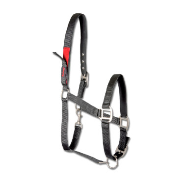 Licol de sécurité Waldhausen Noir