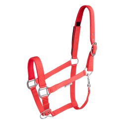 Licol de sécurité Waldhausen Rood