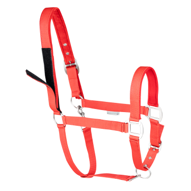 Licol de sécurité Waldhausen Rood