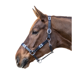 Licol en cuir Waldhausen Polo Noir