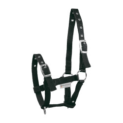 Licol Poulain Waldhausen Triple Noir