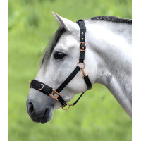 Licol pour longé Waldhausen Rosé Zwart