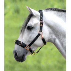 Licol pour longé Waldhausen Rosé Zwart