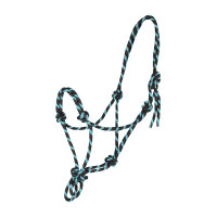 Licol Waldhausen à noeuds Zwart / munt