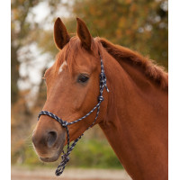 Licol Waldhausen à noeuds Bleu nocturne / argent