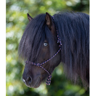 Licol Waldhausen à noeuds Blauw / wit / rood
