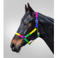 Licol Waldhausen Arc-en-ciel Néon multicolor Licol Waldhausen Arc-en-ciel Néon multicolor