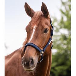 Licol Waldhausen Atheltic Bleu nocturne