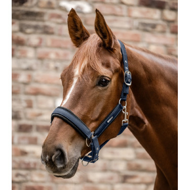 Licol Waldhausen Breath Bleu nocturne Licol Waldhausen Breath Bleu nocturne