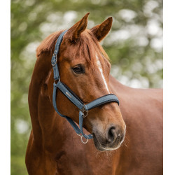 Licol Waldhausen Breath Blauw krijt