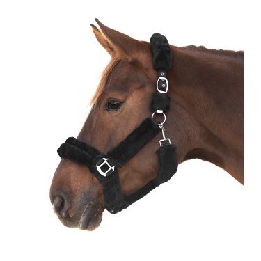 Licol Waldhausen Cozy Licol Waldhausen Cozy
