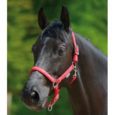Licol Waldhausen déco Petits chevaux Rouge