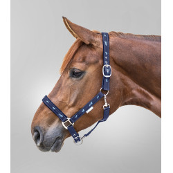 Licol Waldhausen déco Petits chevaux Bleu marine