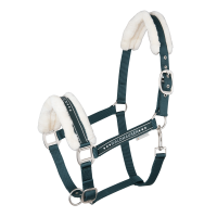 Licol Waldhausen Elegant Vert sapin Licol Waldhausen Elegant Vert sapin