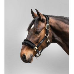 Licol Waldhausen Exclusive Noir / noir