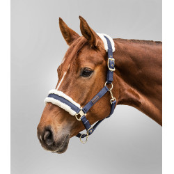 Licol Waldhausen Exclusive Bleu nocturne / beige