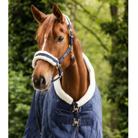 Licol Waldhausen Exclusive Bleu nocturne / beige Licol Waldhausen Exclusive Bleu nocturne / beige