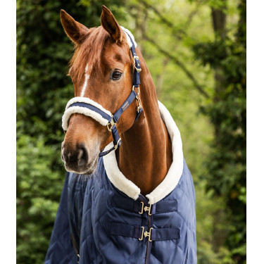 Licol Waldhausen Exclusive Bleu nocturne / beige
