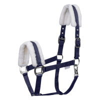 Licol Waldhausen First Bleu nocturne