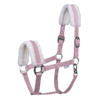 Licol Waldhausen First Kersenbloesem