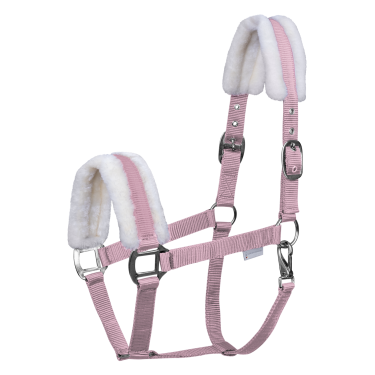 Licol Waldhausen First Kersenbloesem