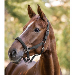 Licol Waldhausen Gloomy Grijs graniet