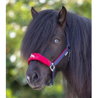 Licol Waldhausen Island Hellnar Bleu foncé / rouge Licol Waldhausen Island Hellnar Bleu foncé / rouge