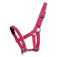 Licol Waldhausen Mini-Shetland Azalée Rose