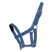 Licol Waldhausen Mini-Shetland Bleu azur