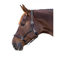 Licol Waldhausen Nevada Noir / argent Licol Waldhausen Nevada Noir / argent