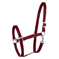 Licol Waldhausen Perlon Bordeaux Licol Waldhausen Perlon Bordeaux