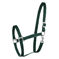 Licol Waldhausen Perlon Vert sapin Licol Waldhausen Perlon Vert sapin