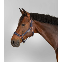 Licol Waldhausen Rosé Bleu nocturne