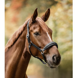 Licol Waldhausen S-Line en cuir Glamour Zwart