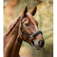 Licol Waldhausen S-Line en cuir Glamour Noir