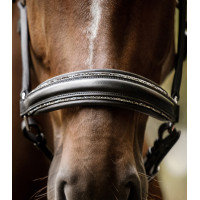 Licol Waldhausen S-Line en cuir Glamour Noir