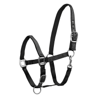 Licol Waldhausen Satin Noir
