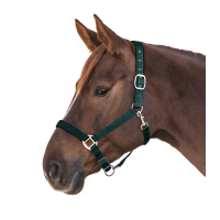 Licol Waldhausen Satin Vert sapin Licol Waldhausen Satin Vert sapin
