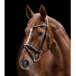 Bridon Clincher Waldhausen X-Line Marron Bridon Clincher Waldhausen X-Line Marron