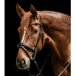 Bridon favourite Waldhausen X-Line Noir Bridon favourite Waldhausen X-Line Noir