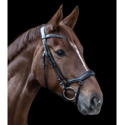 Hoofdstel New Shape II Waldhausen X-Line Zwart