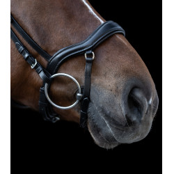 Hoofdstel New Shape II Waldhausen X-Line Zwart