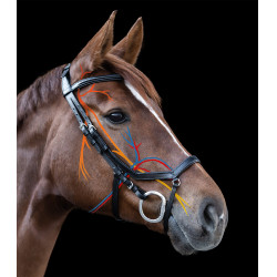 Bridon Relaxation Waldhausen X-Line Noir Bridon Relaxation Waldhausen X-Line Noir