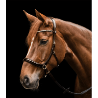 Bitloos hoofdstel Sensation Waldhausen X-Line Bruin